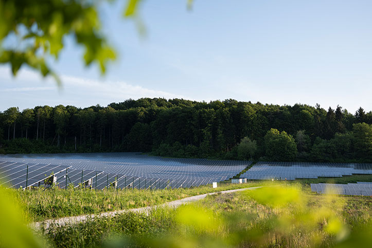 Blick auf den Solarpark Simmelsdorf